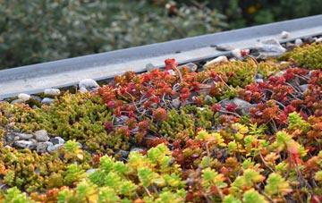 the cost of Tricketts Cross green roof installation