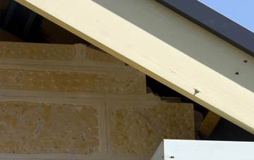soffit repair Tricketts Cross